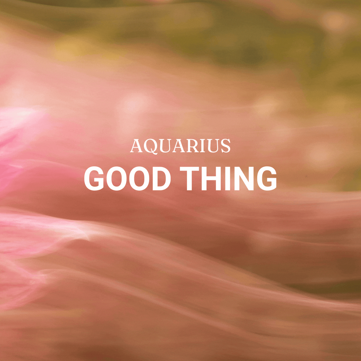 Aquarius 2026 Bracelet - Love