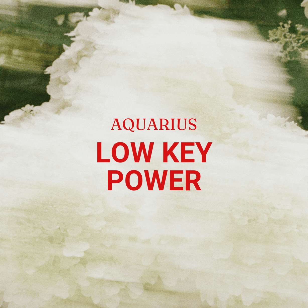 Aquarius 2026 Bracelet - Progress